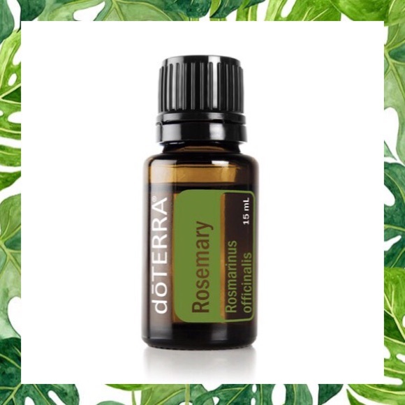 5 for $25  💚 Rosemary Doterra 15ml NIB 💚 - Picture 1 of 2